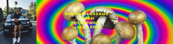 соль ск Губаха