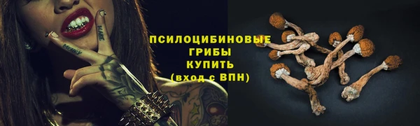 MDMA Premium VHQ Сосновый Бор