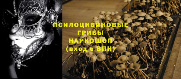 гидропоника Грязовец
