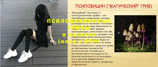 соль ск Губаха