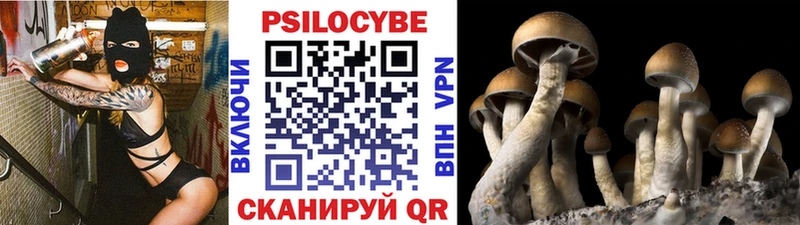 нарко площадка наркотические препараты  купить наркоту  Углегорск  Псилоцибиновые грибы мицелий 